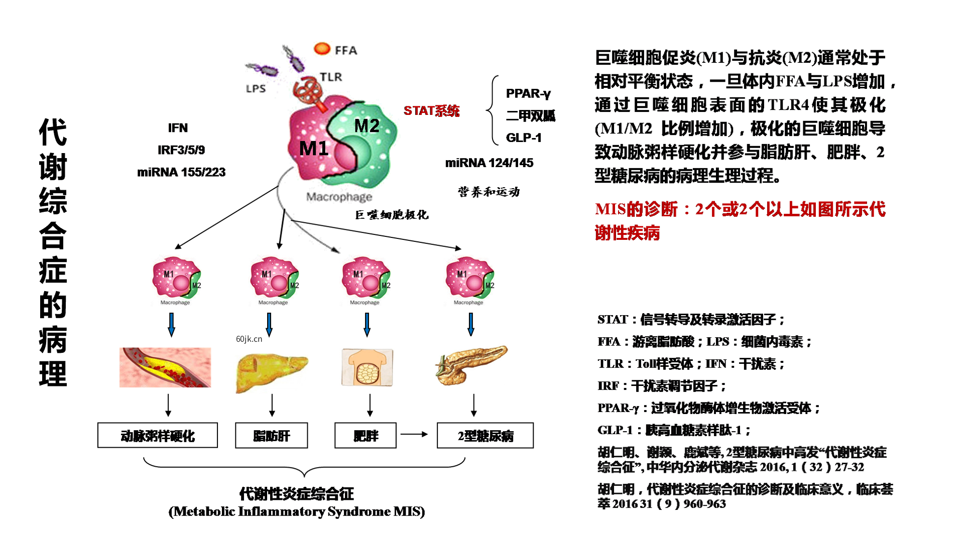 三位一体智慧调控，定制您的代谢逆龄方程式！