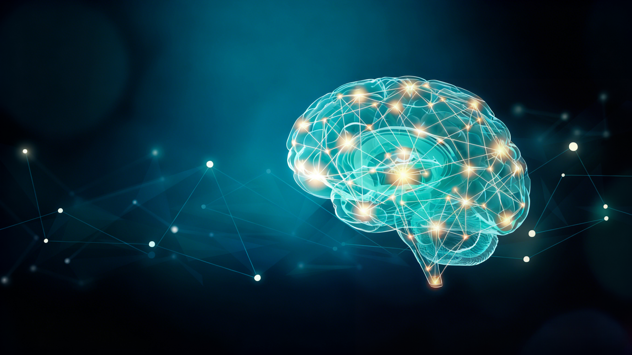         本体系不用于疾病诊断或疗效判断，仅用于认知表现的连续性管理与趋势理解。